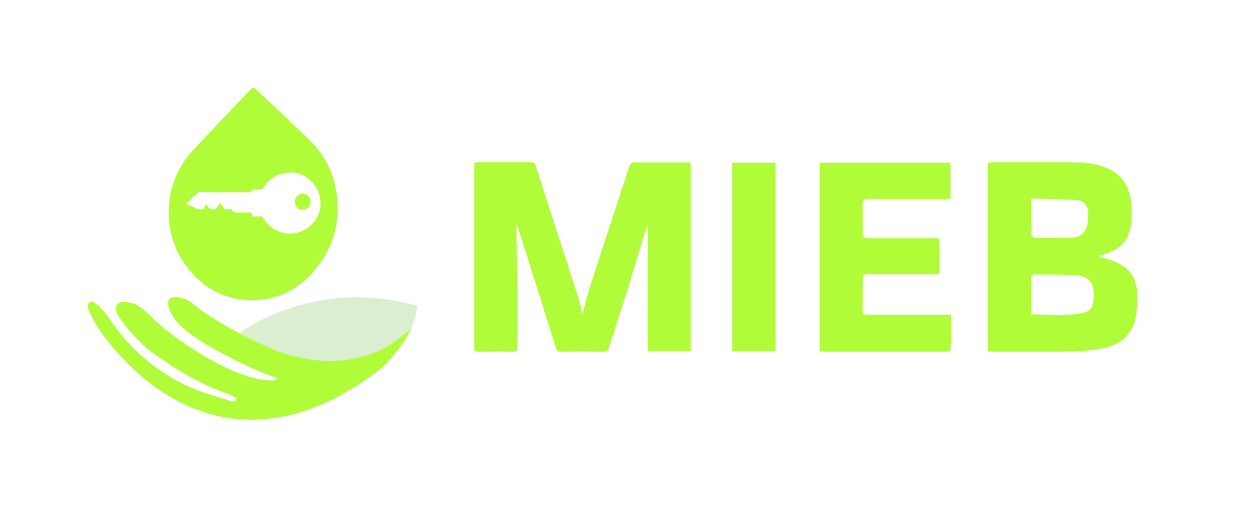 https://www.miebvpn.com/Encrypted VPN for Android & IOS Devices| VPN for USA, China & Europe | Mieb VPN